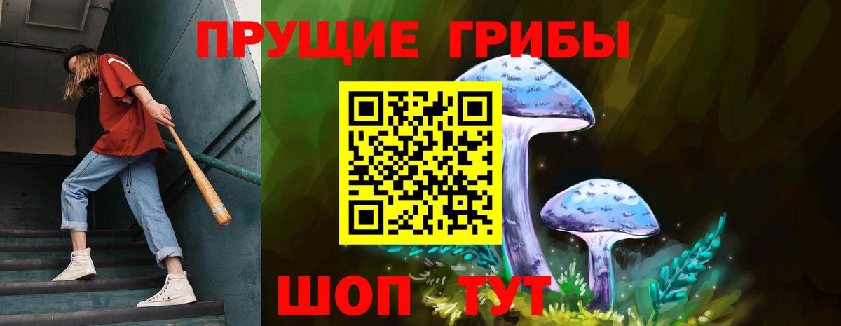 Псилоцибиновые грибы Psilocybe  Вход с VPN  Ярцево 
